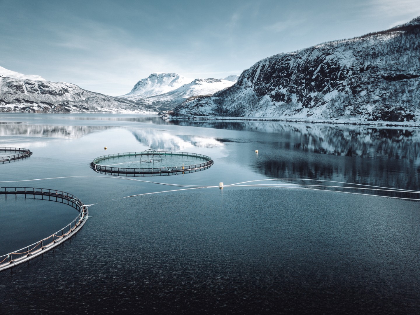 Bilde av oppdrettsanlegg i en fjord med snøkledte fjell rundt.