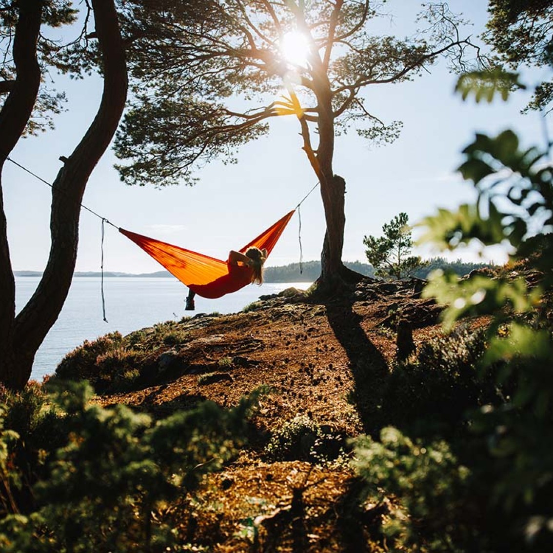 A person relaxes in the sun in a hammock out in nature, looking out over the sea.