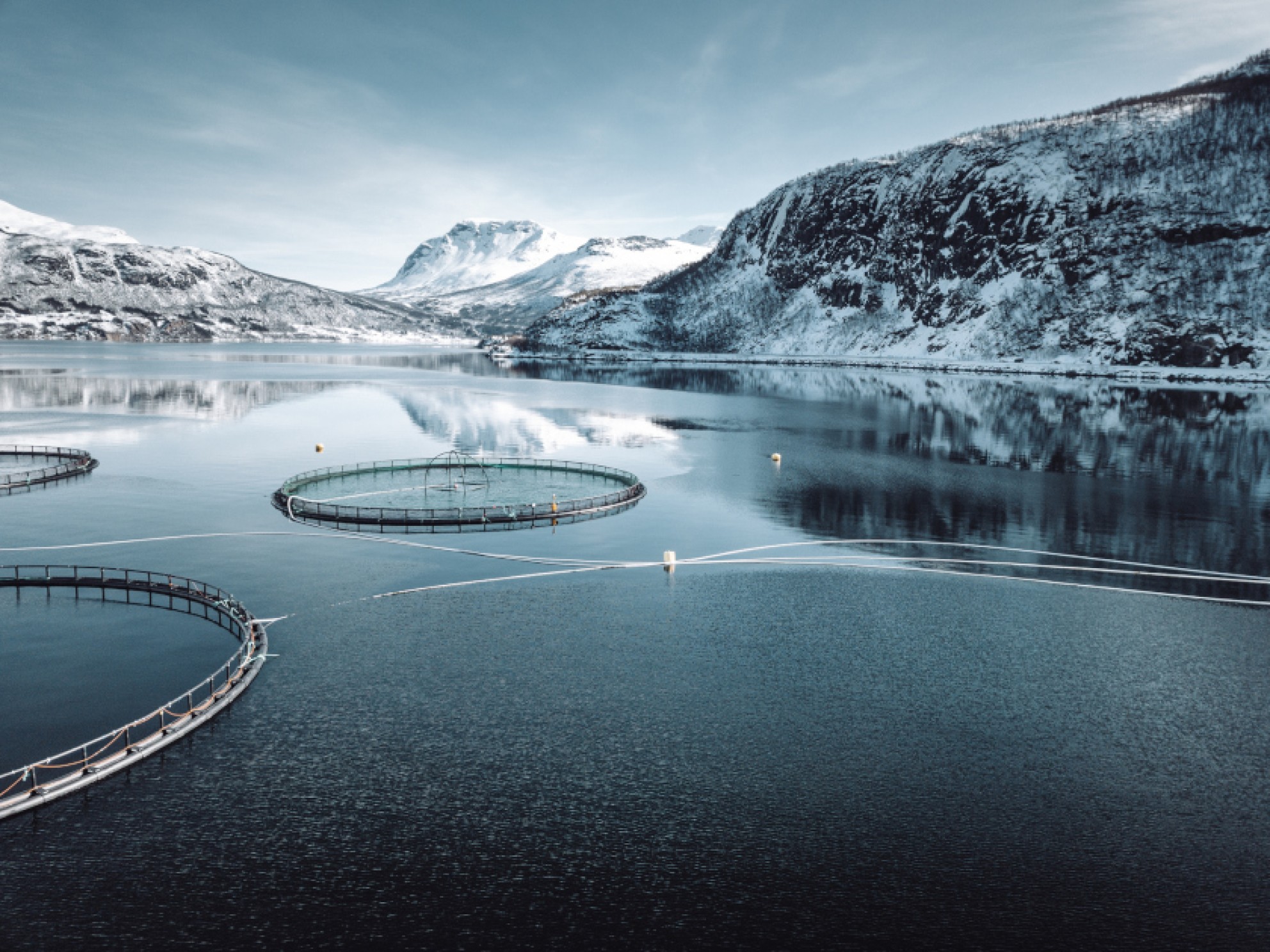 Fish farming facility in a fjord surrounded by snow-capped mountains.