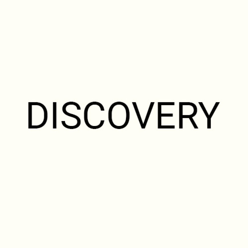 DISCOVERY written in black block letters on a light background.